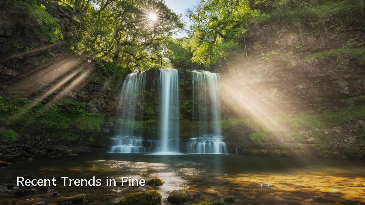Recent Trends in Fine