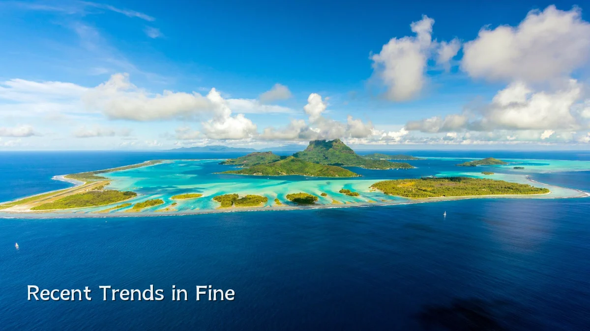 Recent Trends in Fine