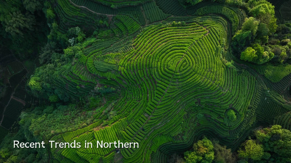 Recent Trends in Northern