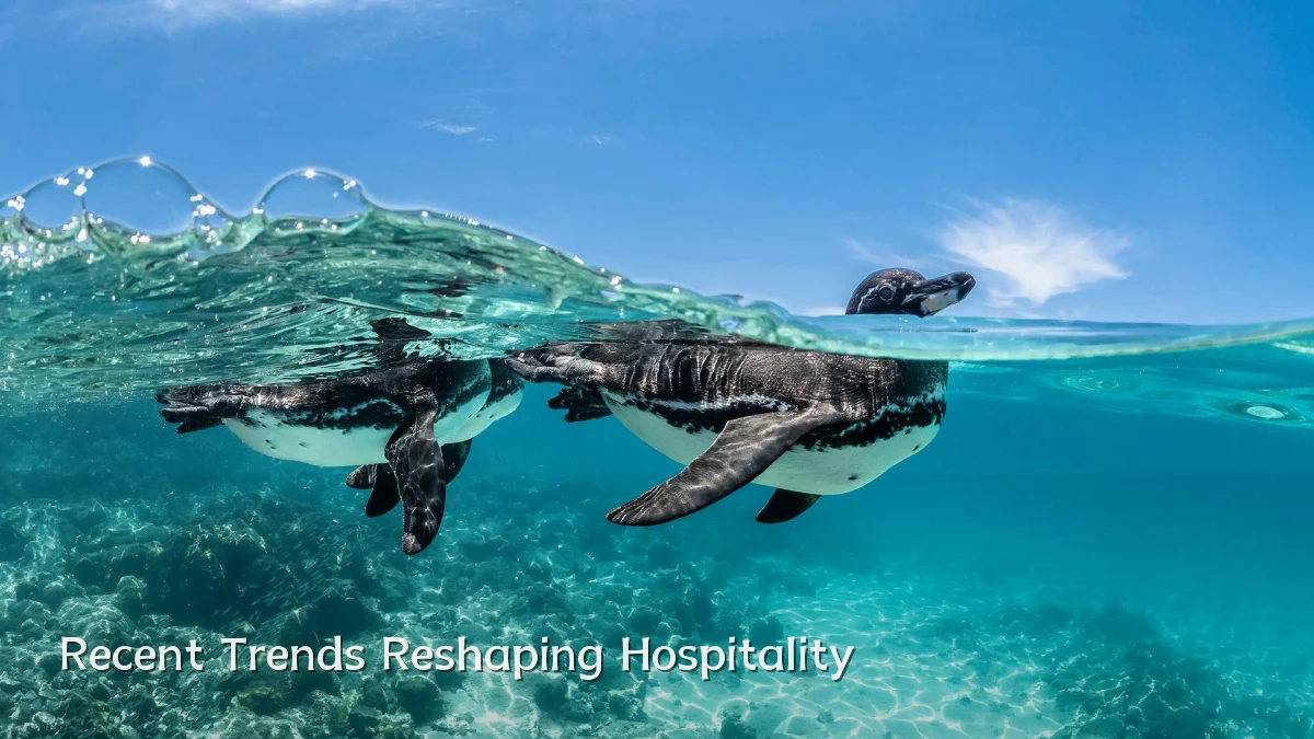 Recent Trends Reshaping Hospitality