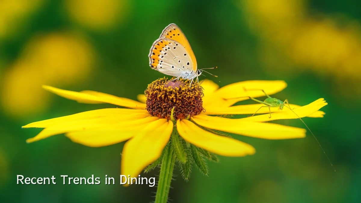 Recent Trends in Dining