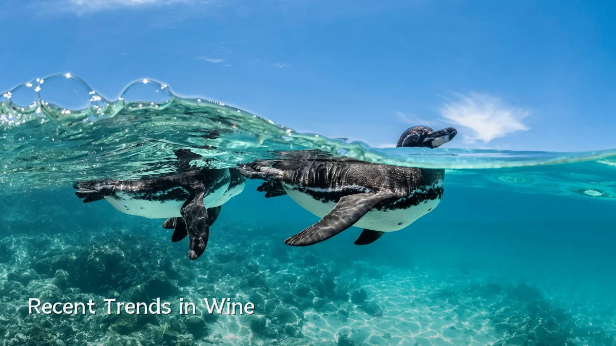 Recent Trends in Wine
